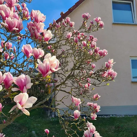 Elisa Holiday home Stromberg (Hunsrueck)
