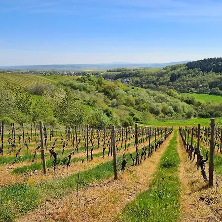 Elisa Σπίτι διακοπών